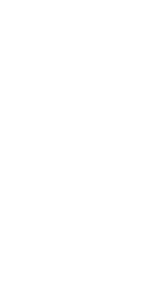 Logo S'FlIESENWERK